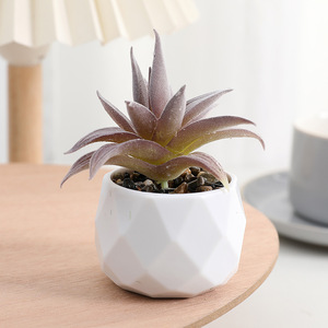 Plantas Suculentas Artificiales de PVC con Aspecto de Diamante, Adornos para Macetas de Escritorio, Ideales para Decorar con Suculentas - Product Image 2