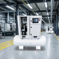 Compresseur d'air rotatif à vis silencieux mini portable tout-en-un industriel 220V 50Hz pour le lavage de voitures