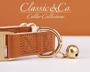 ชุดปลอกคอและสายจูงสุนัขหนัง PU กันน้ำ ดีไซน์เรียบง่าย หัวเข็มขัดสลักชื่อ ป้ายชื่อสั่งทำได้ฟรี อุปกรณ์เสริมสำหรับงานแต่งงานและลูกสุนัข - Product Image 5