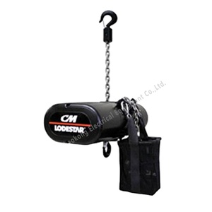 Servo <strong>Hoist</strong> Constant Torque Output <strong>Hoist</strong> Permanent Magnet Synchronous Motor <strong>Hoist</strong> Noiseless Electrical Chain <strong>Hoist</strong> - Product Image 1