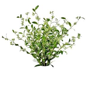 ใบฮอลลี่สีเขียวประดิษฐ์  แบบใบเดี่ยว  เป็นมิตรกับสิ่งแวดล้อม  สมจริงสูง  สำหรับตกแต่งคริสต์มาส  ปีใหม่  งานแต่งงาน  บ้าน  สำนักงาน  ขายส่ง - Product Image 4