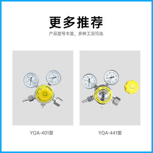 Régulateur de pression d'ammoniac YQA 20 en acier inoxydable 0-1,0 MPa 0-6 MPa pour utilisation en pipeline - Product Image 2