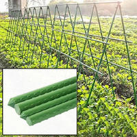 Support de tomates en rotin pour grimpantes, poteau recouvert de plastique, accessoires de jardinage
