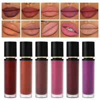 Rouge à lèvres liquide sans cruauté OEM High Pigment Waterproof Hydratant Brillant à lèvres DIY Lip Glaze Lip Beauty Makeup
