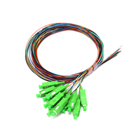 Factory Direct Price 12-Core 0.9mm SC/APC Single Mode Fibre Bundle Pigtail 1M Available Fibre Optic Patch Cord