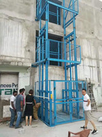 Ascenseur à chaîne de levage de marchandises à double rail vertical intérieur/extérieur de 1000 kg pour entrepôt avec un bon prix
