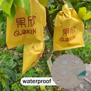 雨季防水防紫外线水果牛皮纸台湾芒果水果生长保护盖袋