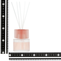 Diffuseur de roseaux en verre de luxe de marque privée personnalisé diffuseur de parfum d'ambiance emballage de diffuseur de roseaux diffuseurs d'arômes de parfum d'intérieur