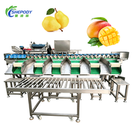 Shepody Auto Small Orange Kiwi Fruit Sorter Hoge Snelheid Zeevruchten Weegschaal Sorteermachine met Motor en PLC voor Vis en Garnalen