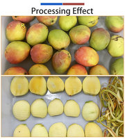 Multihead mango-ontpittermachine, machine voor het ontpitten van verse mango's voor mango-verwerkingsbedrijven