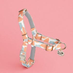 Arnés de Algodón Transpirable de Primera Calidad Talla S con Diseño Moderno Personalizado, Duradero y Sin Tirones para Perros - Product Image 1