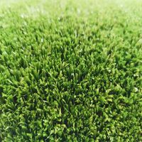 Prix bas 8mm 10mm aménagement paysager populaire tapis d'herbe verte gazon synthétique gazon artificiel