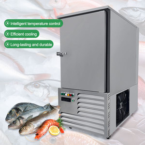 Commercial Kitchen Equipment 10-11 Pallet 300L-80L Fast Meat Food Blast Freezer - Product Image 2