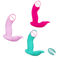 SEXBAY Großhandel Kabelloser Tragbarer Sexy Flüssigsilikon Damen-Unterwäsche Sexspielzeug Slip-Vibrator für Frauen Mit Fernbedienung