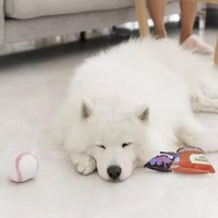 Jouet en peluche pour chien, design original Candy, élégant, en peluche froissée, couineur, résistant aux morsures, en gros, 2025