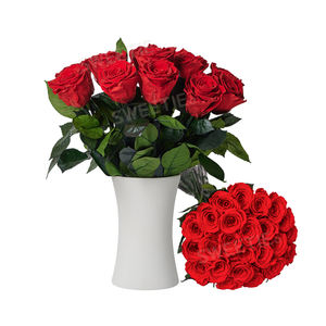 7pcs fleur infini pour la décoration de la maison vénus 12pcs éternelle rosas preservadas pour toujours préservé <span class=keywords><strong>rose</strong></span> avec tige <span class=keywords><strong>dans</strong></span> un <span class=keywords><strong>vase</strong></span> en céramique - Product Image 4