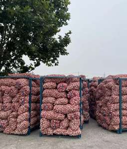 Aglio Fresco Biologico Bianco Pelato di Shandong, Qualità Alimentare, Conservazione Refrigerata - Product Image 6