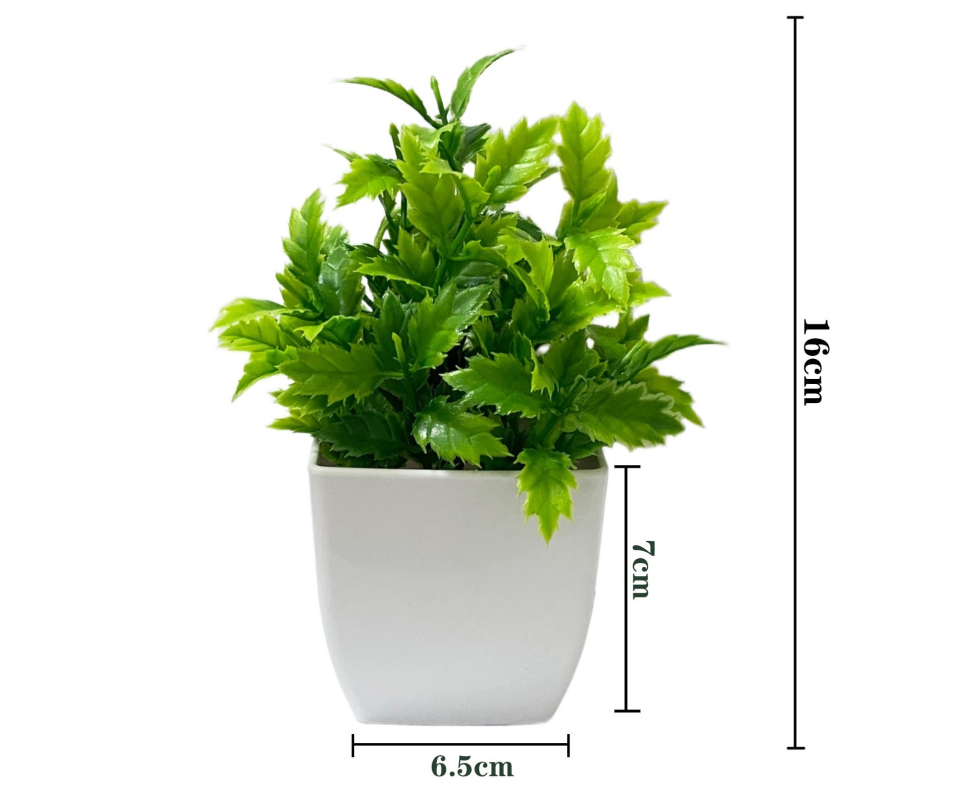 Sawtooth grass potted plant green