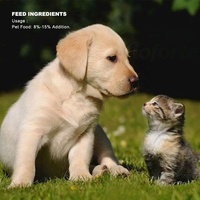 Bioforte Poudre de peptides de mouche soldat noire hydrolysée enzymatiquement, riche en protéines, hypoallergénique, additif alimentaire pour chiens et chats