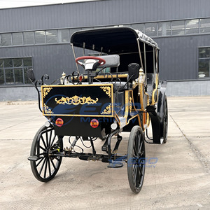 Charrette royale classique de luxe haut de gamme unique, charrette électrique de tourisme européenne, buggy de tourisme équestre de qualité supérieure - Product Image 4
