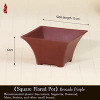 Pot de fleurs carré en résine de style chinois avec plusieurs trous de drainage, jardinière pour usage domestique pour les plantes succulentes, les cactus, les bonsaïs