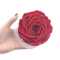 Roses éternelles YAGELI de qualité supérieure, 50 pièces, couleur personnalisée, taille 5-6 cm, décoration pour événements