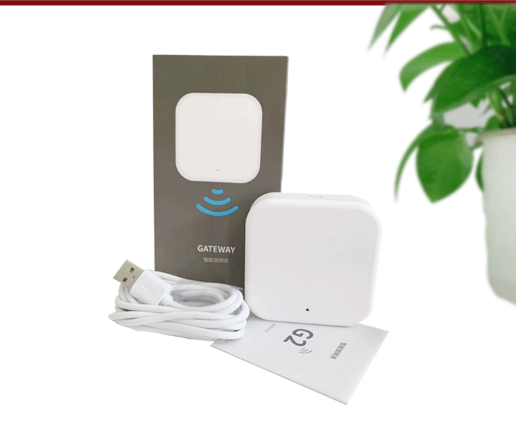 Puerta de enlace WIFI 2G