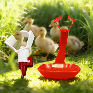 Bebedero para Aves <span class=keywords><strong>de</strong></span> Corral con Boquilla <span class=keywords><strong>de</strong></span> Acero Inoxidable, Compatible con Tubería Cuadrada <span class=keywords><strong>de</strong></span> 22 mm, Línea <span class=keywords><strong>de</strong></span> Agua, Bebedero Automático para Pollos, Patos, Gansos y Codornices - Product Image 6