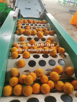 Oranje Diameter Grootte Sorteermachine/Tangerinr Mandarijn Fruit Grootte Sorteren Machine/Fruit Plukken Machine Te Koop