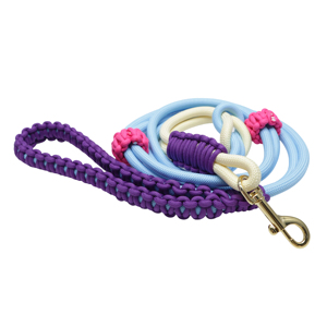 สายจูงสุนัขแบบสั้น ทำจากเชือกไนลอนถักมือ ทนทาน ดีไซน์หัวเข็มขัดคู่ พร้อมโลโก้สั่งทำได้ หลายสี สำหรับปลอกคอและชุดสายรัดสุนัข - Product Image 4