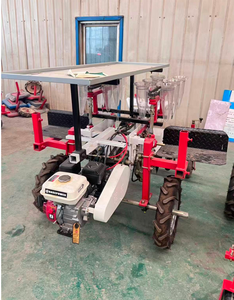 Prix d'usine, machine à repiquer les semis de légumes et de pastèques automotrice, repiqueuse automatique de semis - Product Image 5