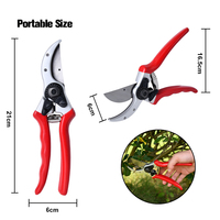Winslow & Ross SK5 Sécateur d'arbre professionnel pour couper les fruits Ciseaux de greffe pour le jardin