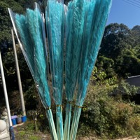 Bunga Rumput Pampas Kecil yang Diawetkan, Buket Kering, Hiasan Dekoratif, Perlengkapan Foto, Hadiah untuk Penjualan Lintas Negara