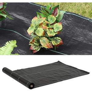 CARDINALE Black Mulching Mat 3x100 Mt Plegado 1,5 Mt Herramienta para torneado de jardín - Product Image 4