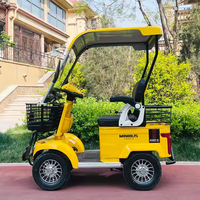 Nouveau Scooter électrique deux places E20 avec abri Véhicule électrique à quatre roues 500W/800W Puissance du moteur 60V Smart Electronic Ebike