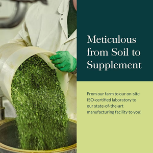 Biologische Pure <span class=keywords><strong>Moringa</strong></span> Oleifera Capsule Kruidensupplement Voor Immuniteit En Energie Boost 180 Vegetarische <span class=keywords><strong>Capsules</strong></span> - Product Image 6