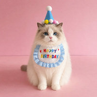 Ensemble Chapeau et Bavoir d'Anniversaire pour Animaux de Compagnie en Gros – Accessoires de Fête Ajustables pour Chats, Chiens, Chiots et Chatons