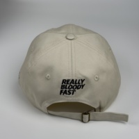 Gorras de Béisbol de 6 Paneles de Sarga de Algodón con Logotipo de Letras Bordadas, Deportivas, Unisex, para Adultos, con Hebilla Trasera Ajustable, Estilo Dad Hat Sin Estructura