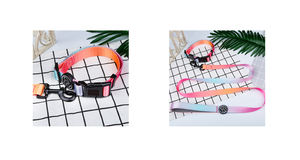 Harnais en métal Durable pour animaux, ensemble pour collier de chien, nouveau Design, fermeture ferme, couleur brillante, longueur chaîne de 150 cm - Product Image 5