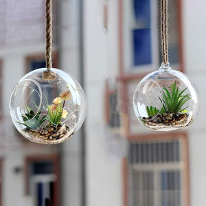 Vaso a Sfera Trasparente, Terrario in Cristallo per Piante Grasse e Aeree, Vaso da Parete in Vetro Soffiato a Mano Ecologico - Product Image 4