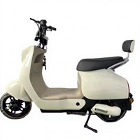 Vélo électrique à assistance au pédalage sans balais haute puissance 500W 48V, longue autonomie, plusieurs couleurs, transport urbain
