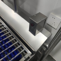 Laveuse industrielle de semelles de bottes à passage direct avec double brosse à rouleaux, démarrage par capteur et passage bidirectionnel pour usine de transformation de viande