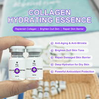 Sérum Ampoule Coréen Personnalisé au Logo pour Salon : Boost de Lueur, Céramide, Réparation Bio, Acide Hyaluronique, Collagène Nourrissant, Effet Lifting Visage