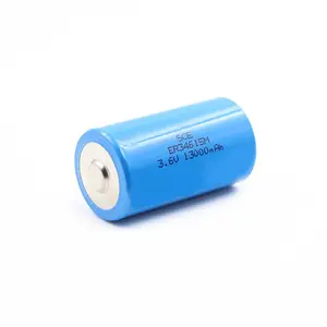 Er34615m 3.6V 13ah Pin Lithium Không Sạc Được D Kích Thước Lisocl2 Pin Chính Akku