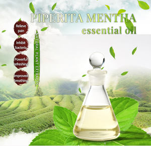 Pure Essential Oil Top Grade Mentha Piperita Oil Cold Pressed Peppermint & Mint Oil for <b>Mosquito</b> Repellent and Oral Cleaning - Product Image 5