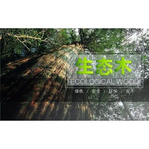 Bancos de Trabajo Multifuncionales de Madera Maciza para Taller en Casa, Sala Limpia, Venta Directa de Fábrica, para Trabajos de Madera - Product Image 2