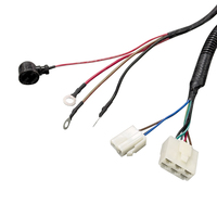 Arnés de Cableado para Modificación de Motor de Automóvil Personalizado con Certificación TS16949, con Conductor de Cobre Estañado y Aislamiento de PVC