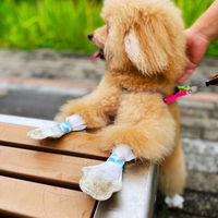 Accessoires de marche pour chiens chaussures jetables pour animaux de compagnie chaussettes souples bottes d'hiver imperméables pour chiens avec bandage pour éviter de lécher les pattes