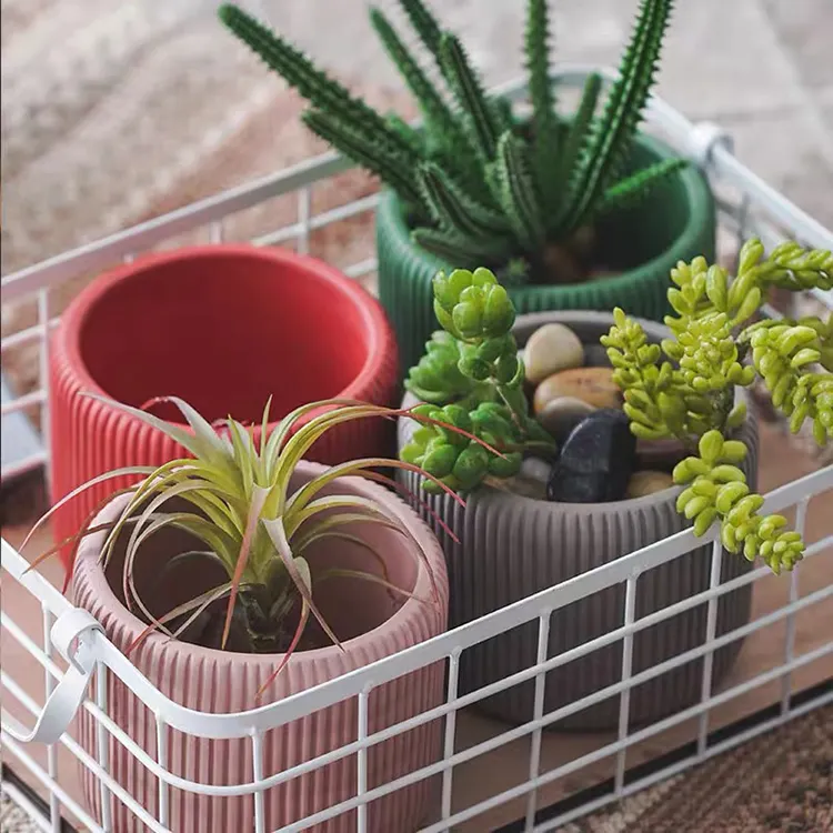 Nordic striped design cute korean bulk cheap colorful cement succulent planters indoor flower pots small bonsai pot for plant