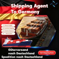 Agente de Transporte Marítimo, Puerto de Düsseldorf, Alemania, Puerto de Wilhelmshaven, DDP, Transitario de Carga, Envío de Mercancías